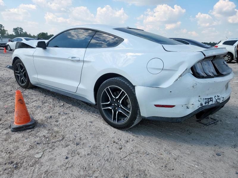 2019 FORD MUSTANG - 1FA6P8TH3K5186425