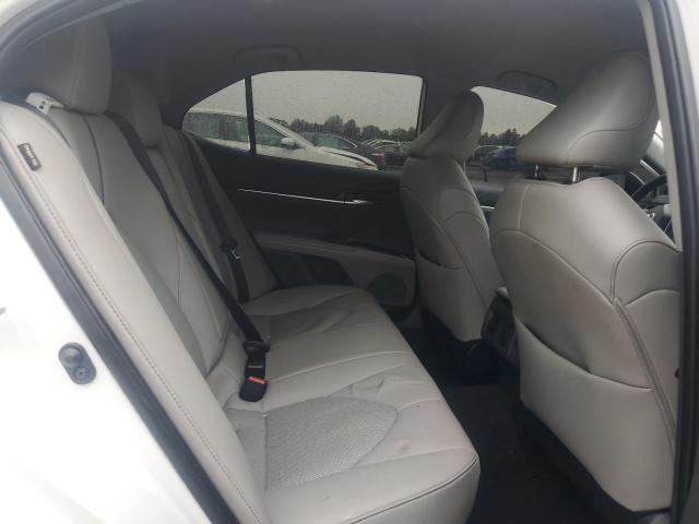 2024 TOYOTA CAMRY XLE - 4T1F11BK2RU114644