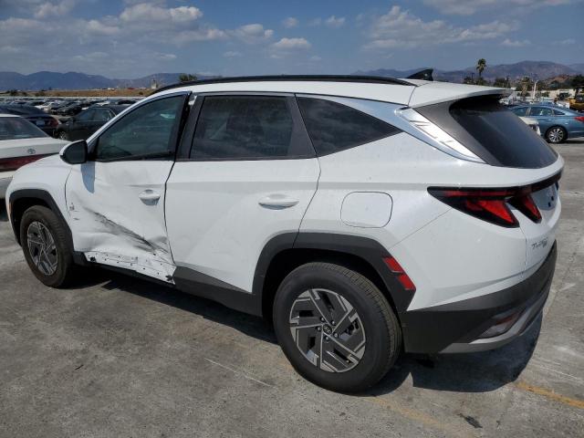 2025 HYUNDAI TUCSON BLU - KM8JBDD15SU306949