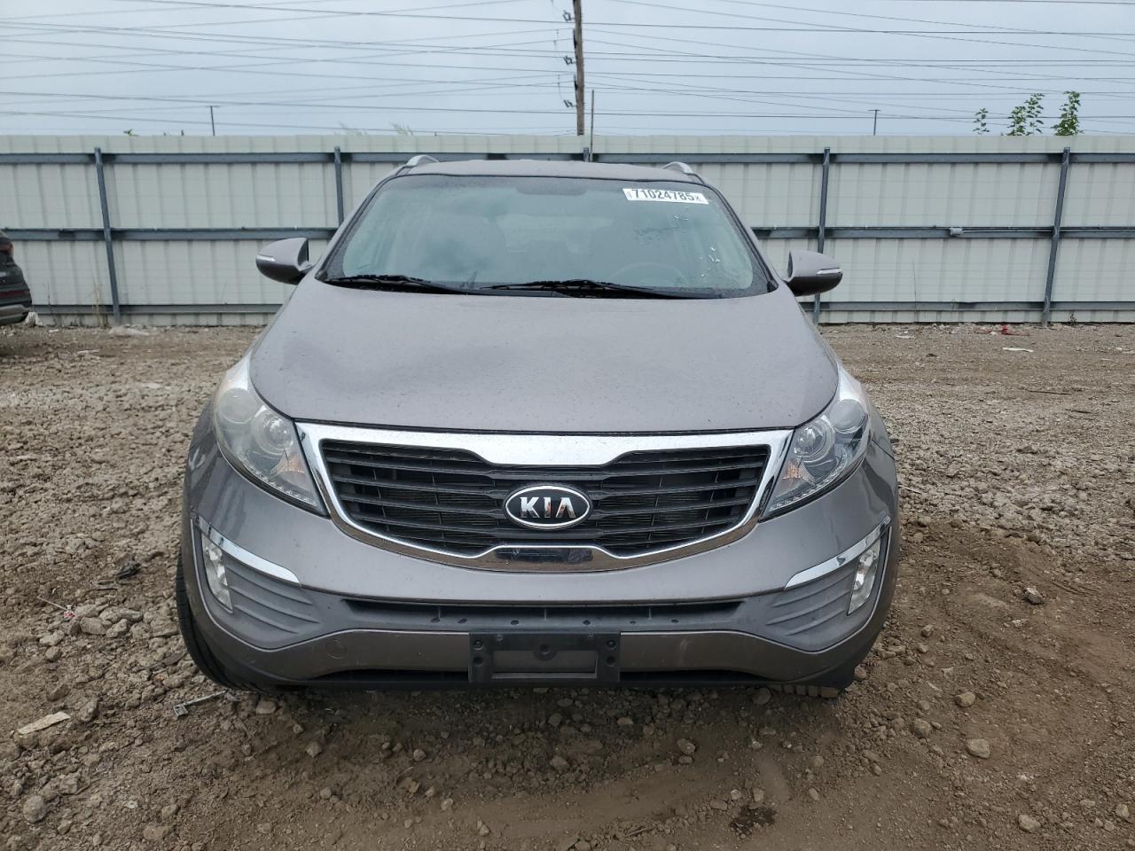 Global Auto Auctions