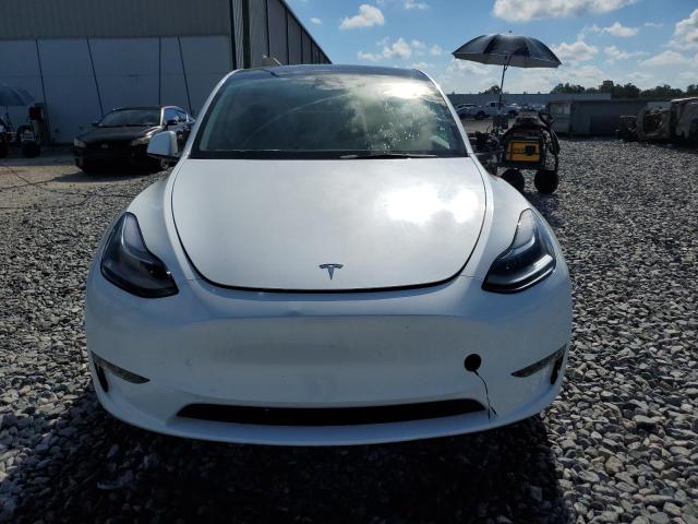 2025 TESLA MODEL Y #3296320480