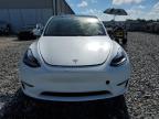 Lot #3296320480 2025 TESLA MODEL Y