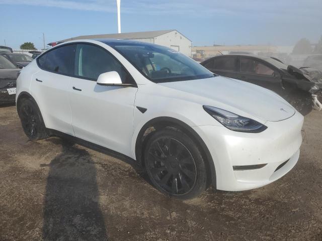 2021 TESLA MODEL Y 5YJYGDEE5MF067517
