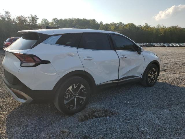 2024 KIA SPORTAGE EX 5XYK33DF9RG165424