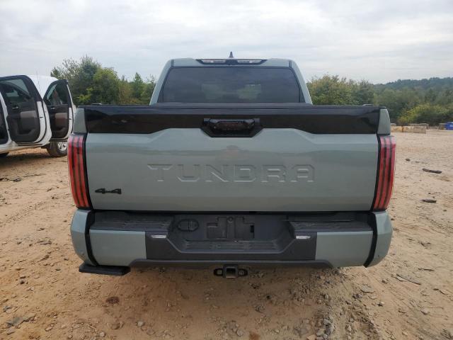 2024 TOYOTA TUNDRA CREWMAX PLATINUM 5TFNA5DB8RX189920