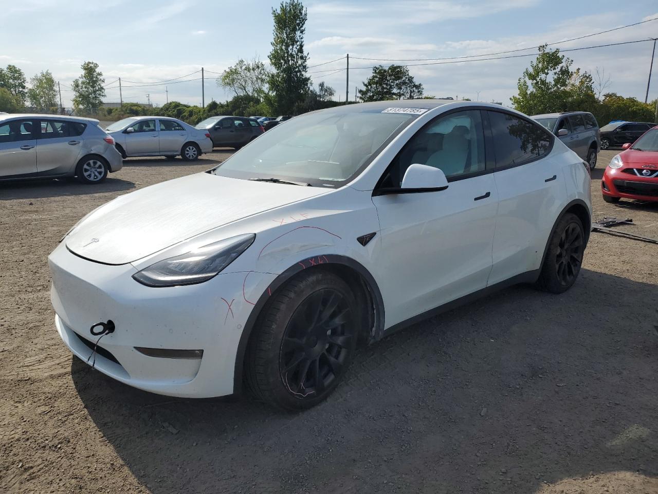TESLA MODEL Y