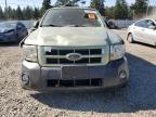Lot #3296921831 2009 FORD ESCAPE HYBRID