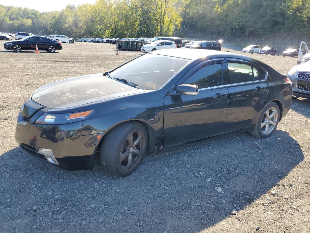 ACURA TL