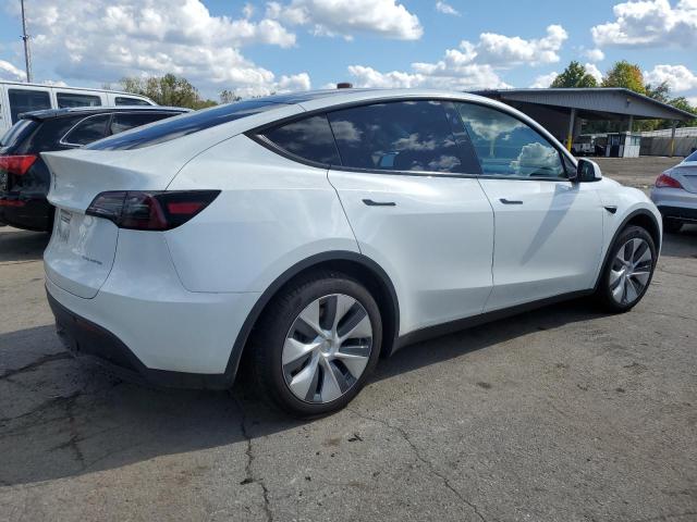 2023 TESLA MODEL Y #3304515561
