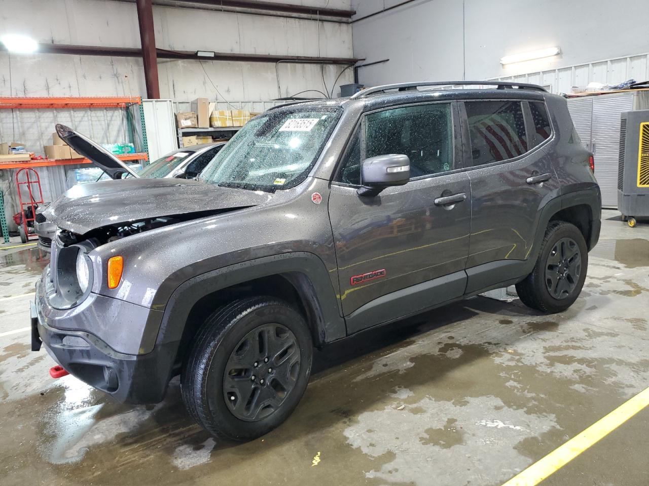 JEEP RENEGADE TRAILHAWK