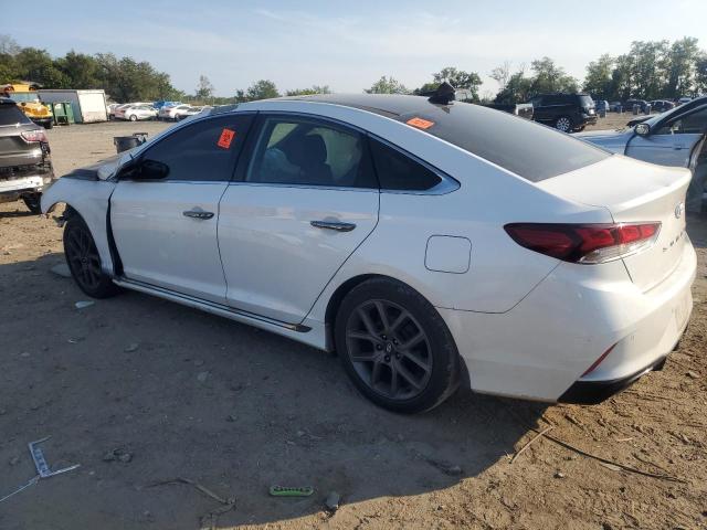 2019 HYUNDAI SONATA LIM 5NPE34ABXKH821441