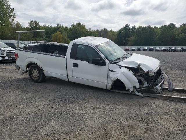 2014 FORD F150 - 1FTPF1CFXEKG06260
