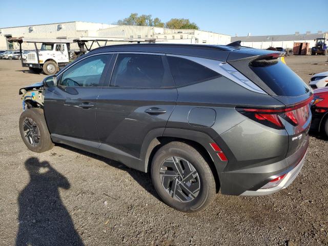 2025 HYUNDAI TUCSON BLUE KM8JBDD1XSU268697
