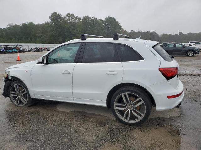 2014 AUDI SQ5 PREMIU - WA1CGAFP2EA117867