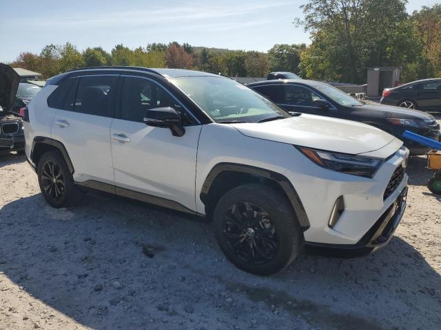 2023 TOYOTA RAV4 XSE #3290287247