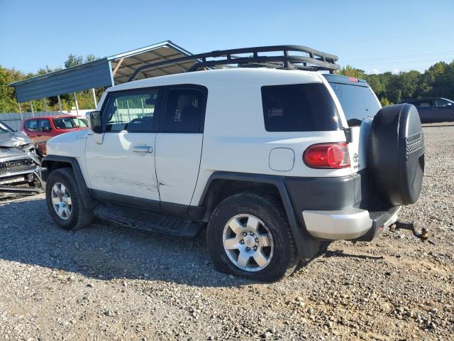 2010 TOYOTA FJ CRUISER - JTEBU4BF9AK093723