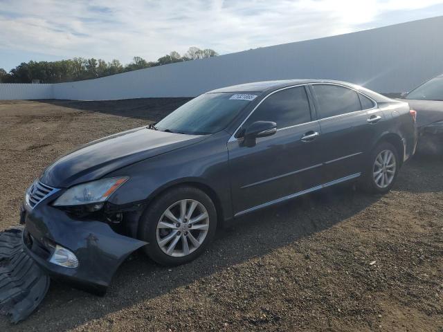 Global Auto Auctions: 2010 LEXUS ES 350