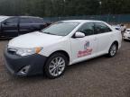 Top Destinations for Shipping Cars from the USA