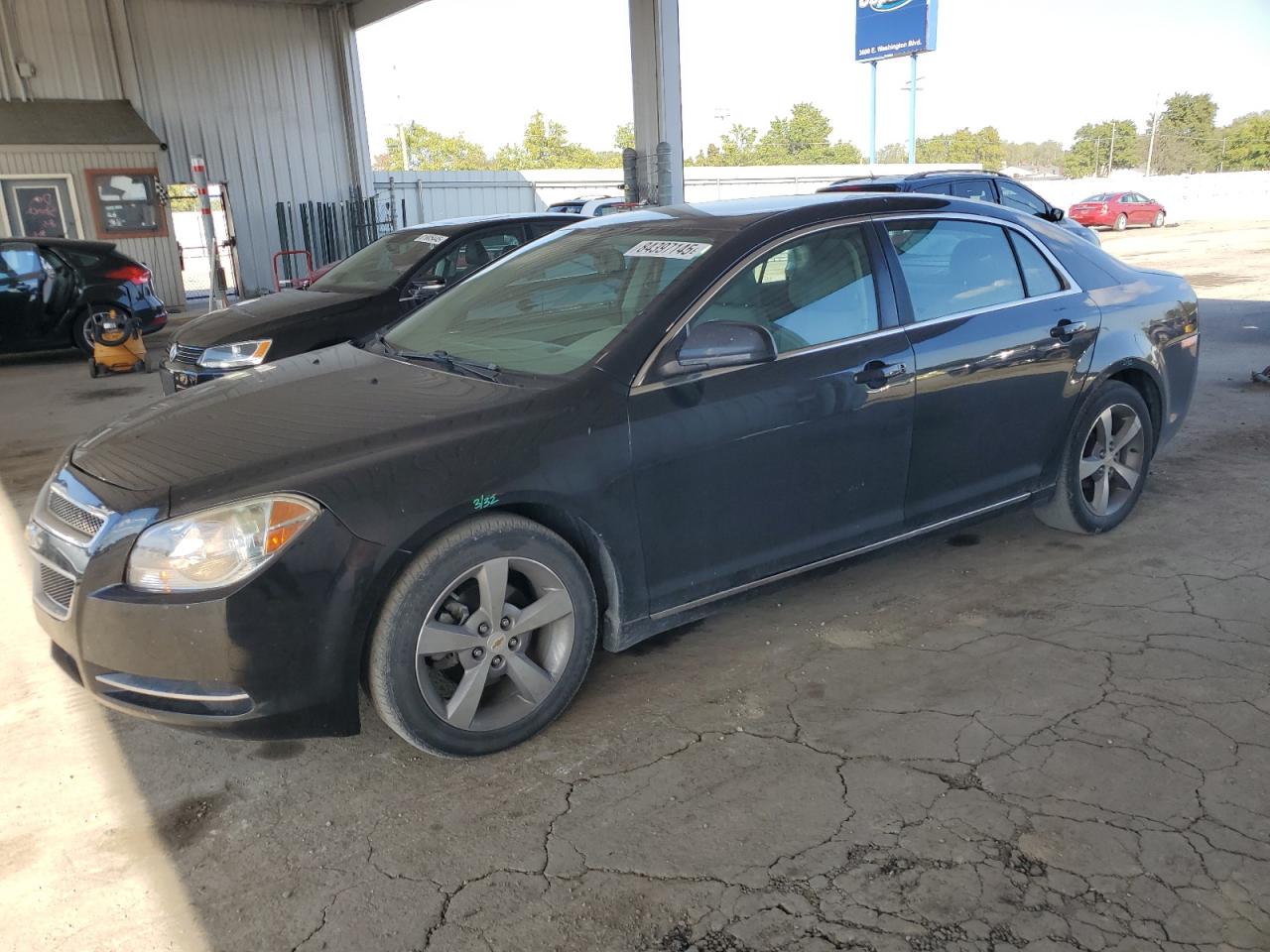CHEVROLET MALIBU 1LT