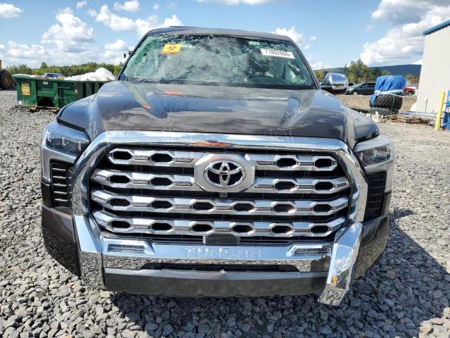 2025 TOYOTA TUNDRA CREWMAX PLATINUM 5TFMA5DB5SX271783