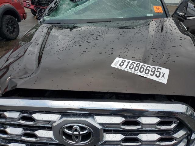 2025 TOYOTA TUNDRA CRE 5TFMC5DB4SX094119