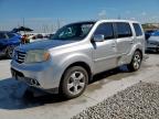 Lot #3296947835 2014 HONDA PILOT EXLN