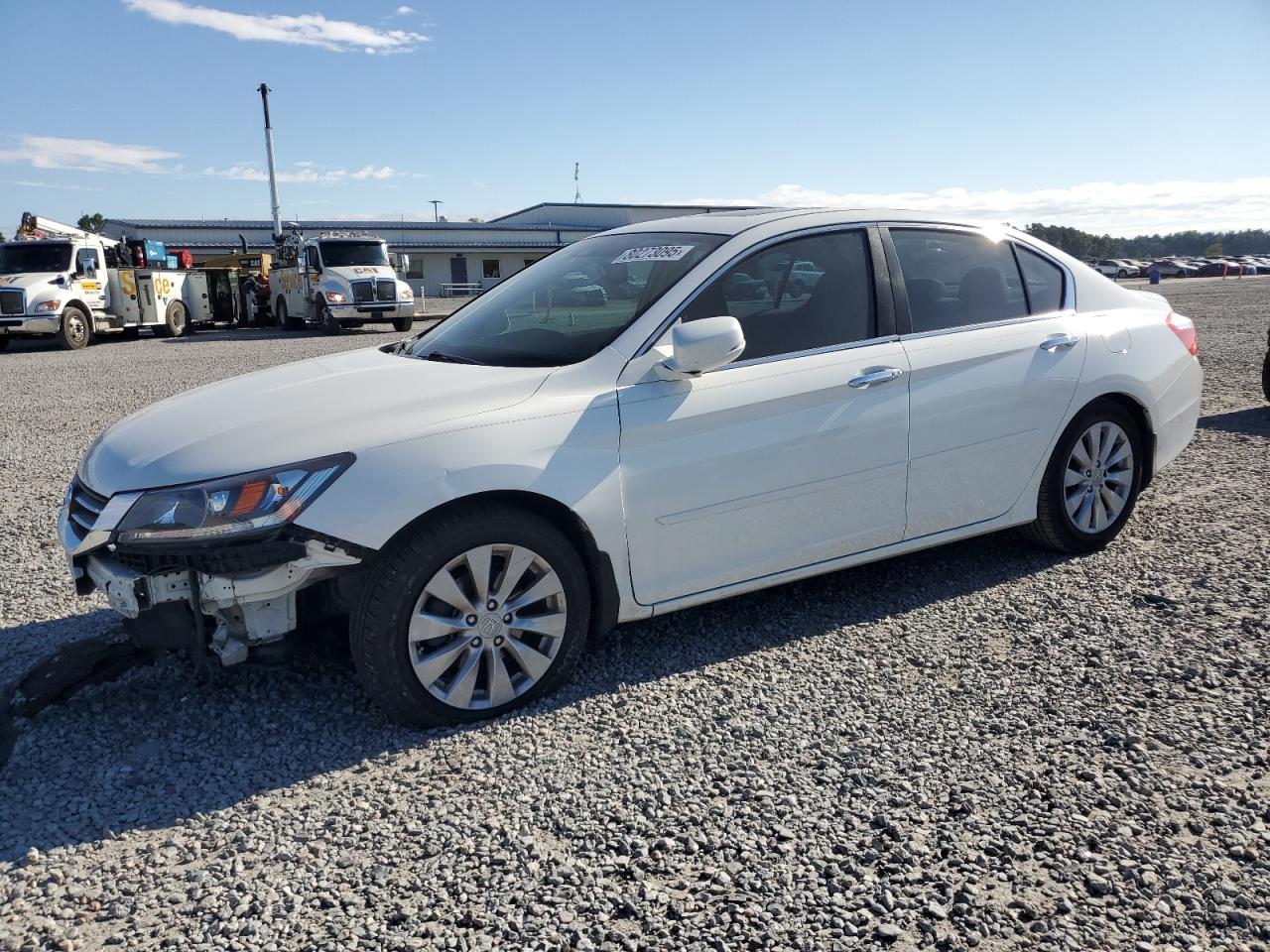 HONDA ACCORD EXL