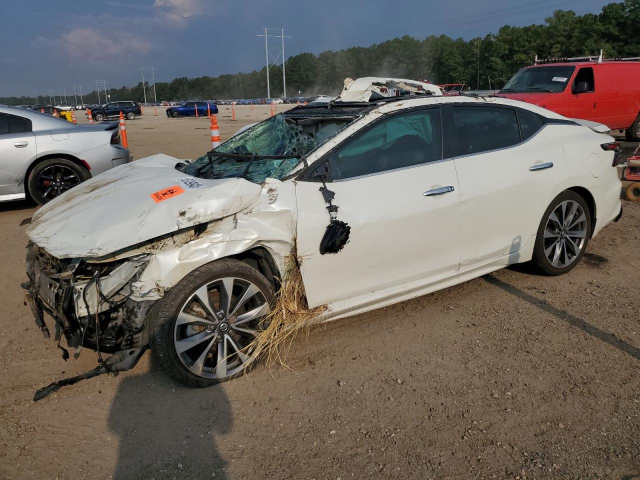 NISSAN MAXIMA PLATINUM