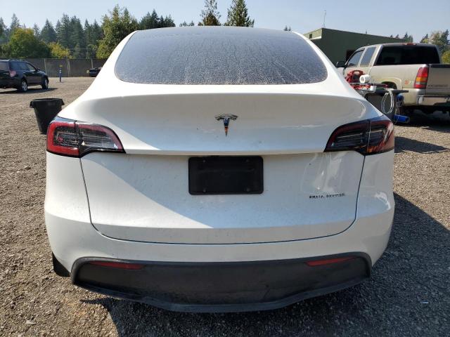 2023 TESLA MODEL Y 7SAYGDEE3PF811994