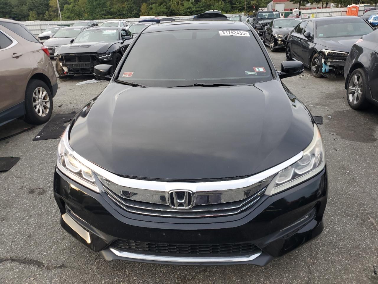 Lot #3254700172 2016 HONDA ACCORD EXL