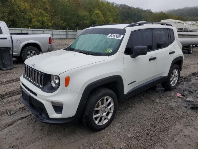 Global Auto Auctions: 2019 JEEP RENEGADE S