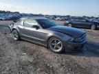 Lot #3306175207 2013 FORD MUSTANG