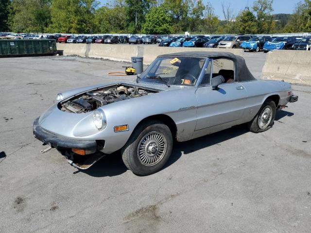 ALFA ROMEO ALL MODELS 1980 silver   AR115410010896 photo #1