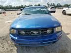 Lot #3294396493 2008 FORD MUSTANG