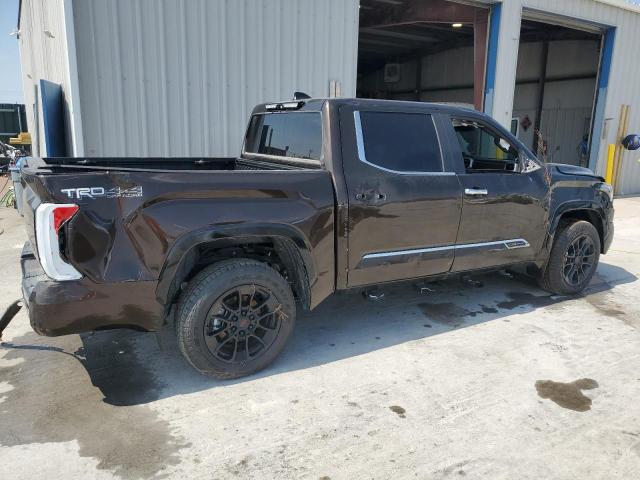 2025 TOYOTA TUNDRA CREWMAX PLATINUM 5TFMA5DB2SX315626
