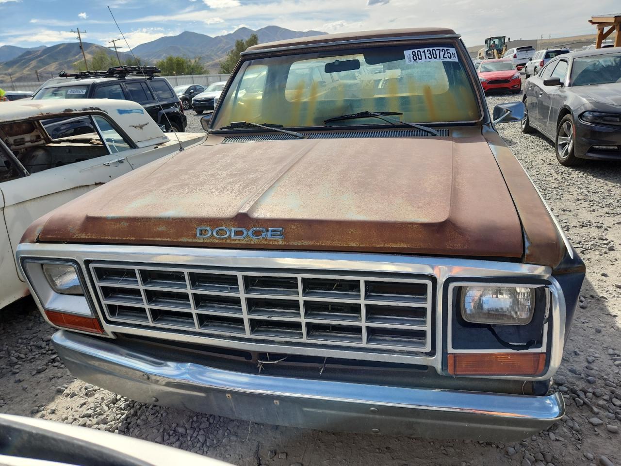 Lot #3297331743 1982 DODGE D-SERIES D