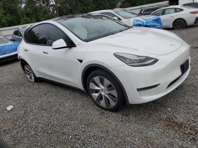 2020 TESLA MODEL Y 5YJYGDEE3LF023952
