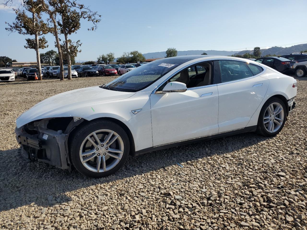 TESLA MODEL S