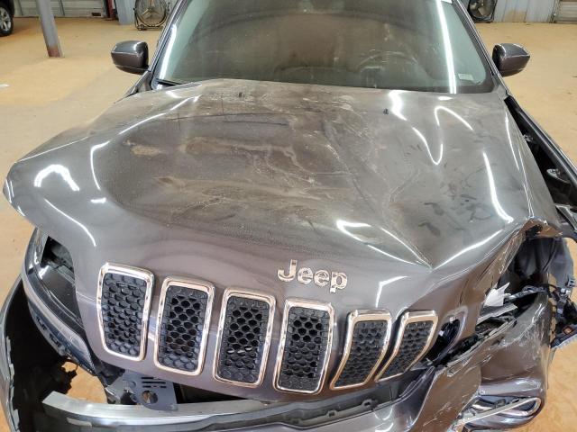 2019 JEEP CHEROKEE L 1C4PJMDX2KD352065