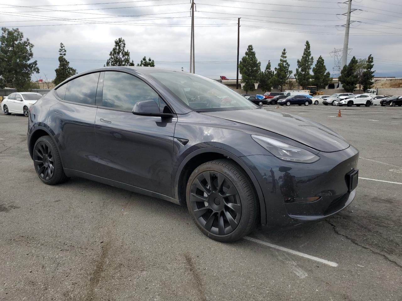 TESLA MODEL Y