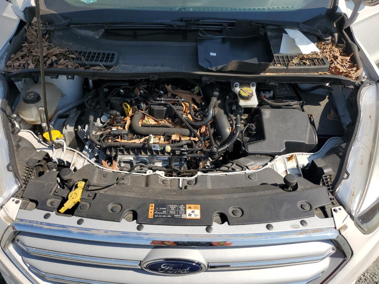 Lot #3301677649 2019 FORD ESCAPE SE