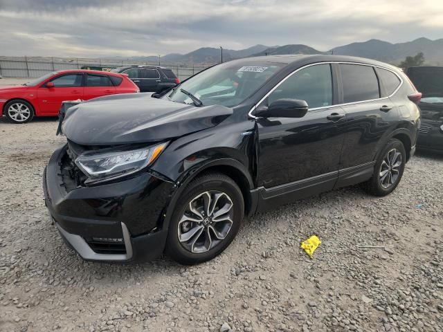 2022 HONDA CR-V EX - 5J6RT6H51NL037916