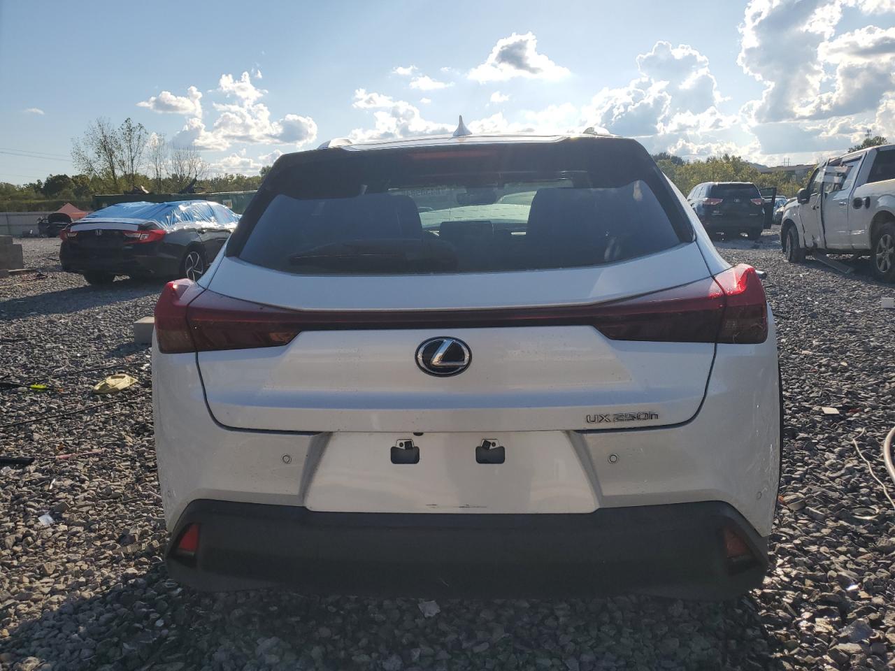 LEXUS UX 250H