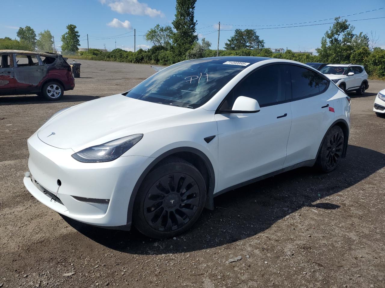 TESLA MODEL Y