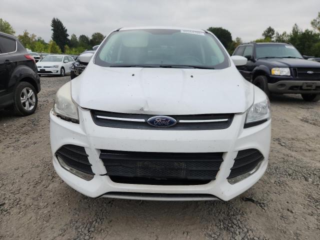2016 FORD ESCAPE SE - 1FMCU0G70GUB61175