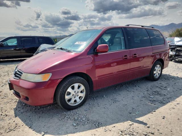HONDA ODYSSEY EX