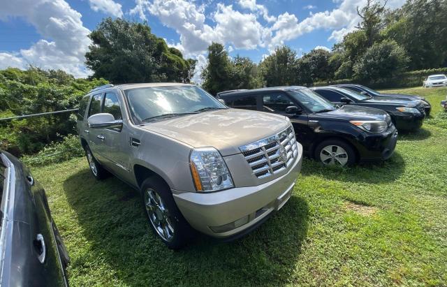 CADILLAC ESCALADE PREMIUM 2010 silver 4dr spor flexible fuel 1GYUCCEF4AR180954 photo #1