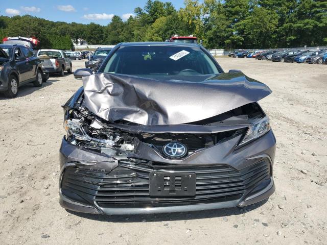 2024 TOYOTA CAMRY LE #3293285431