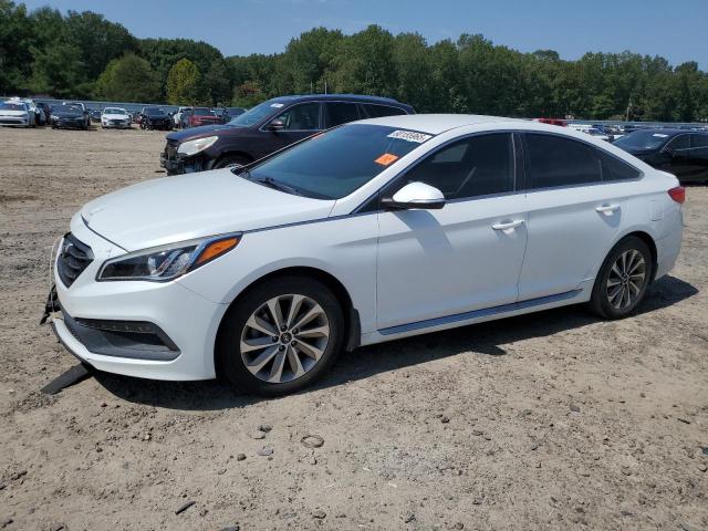 HYUNDAI SONATA SPORT