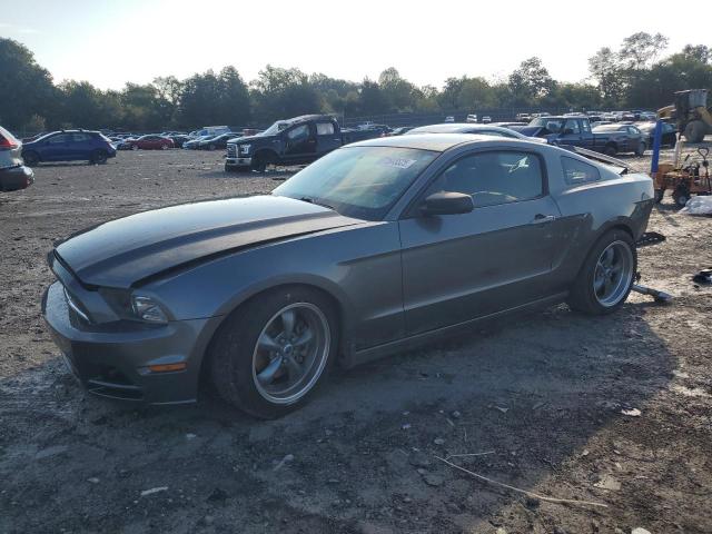 2013 FORD MUSTANG #3306175207